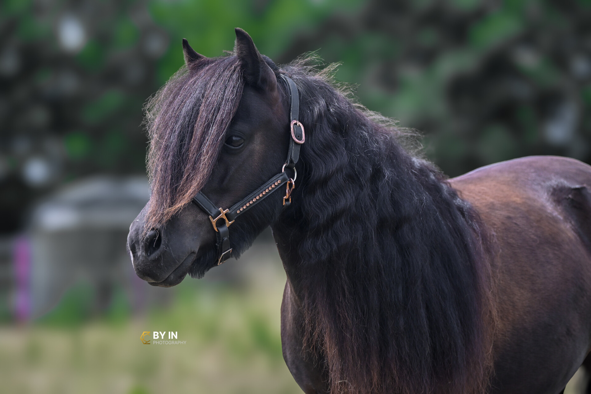 IMG 0073